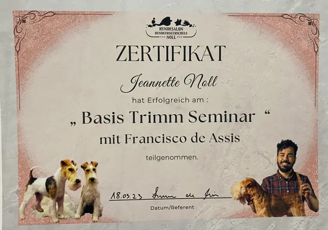 Zertifikat bzw. Urkunde von Jeannette Noll (3)