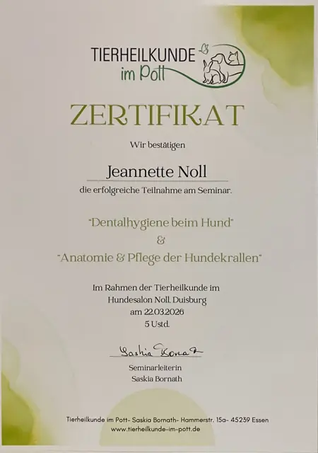 Zertifikat bzw. Urkunde von Jeannette Noll (12)