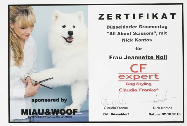 Zertifikat bzw. Urkunde von Jeannette Noll (31)