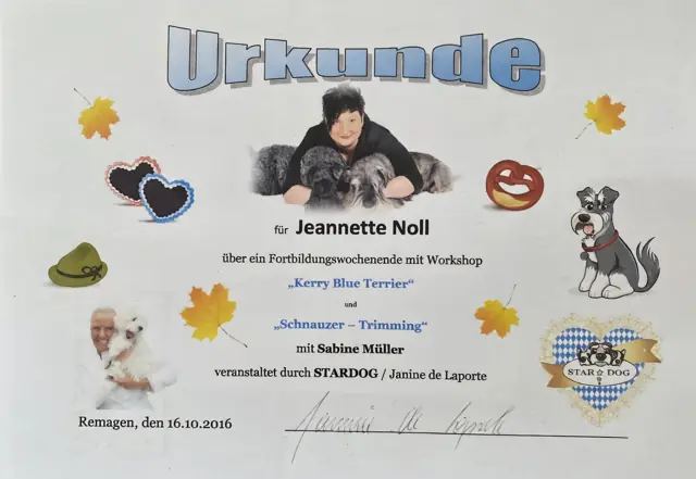 Zertifikat bzw. Urkunde von Jeannette Noll (34)