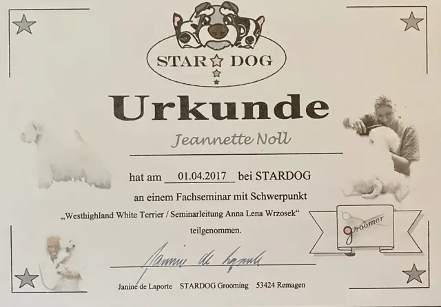Zertifikat bzw. Urkunde von Jeannette Noll (20)