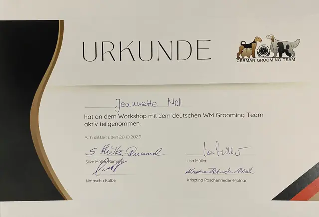 Zertifikat bzw. Urkunde von Jeannette Noll (1)