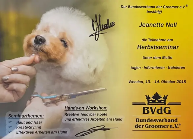 Zertifikat bzw. Urkunde von Jeannette Noll (22)