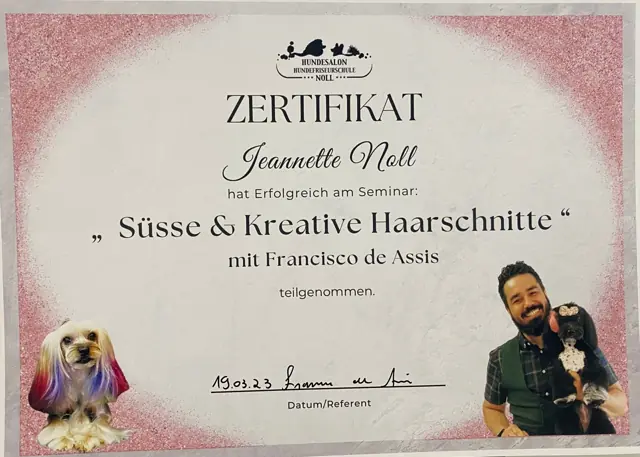 Zertifikat bzw. Urkunde von Jeannette Noll (17)