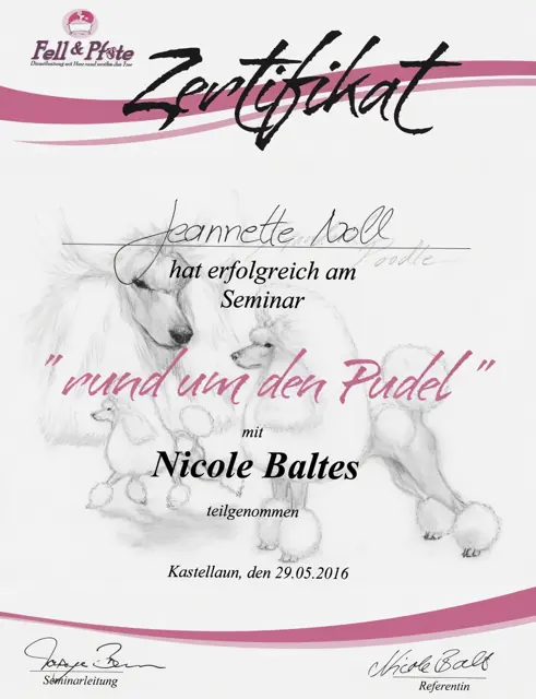 Zertifikat bzw. Urkunde von Jeannette Noll (6)