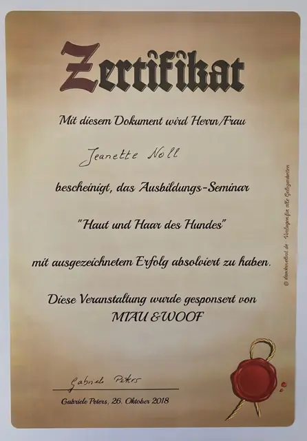 Zertifikat bzw. Urkunde von Jeannette Noll (47)