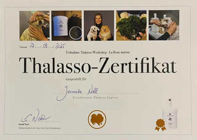 Zertifikat bzw. Urkunde von Jeannette Noll (13)