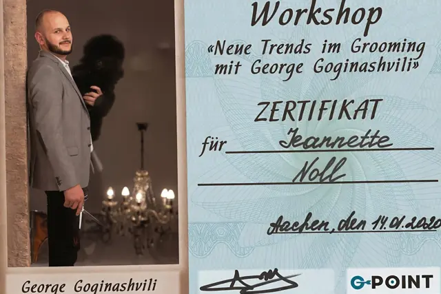 Zertifikat bzw. Urkunde von Jeannette Noll (10)