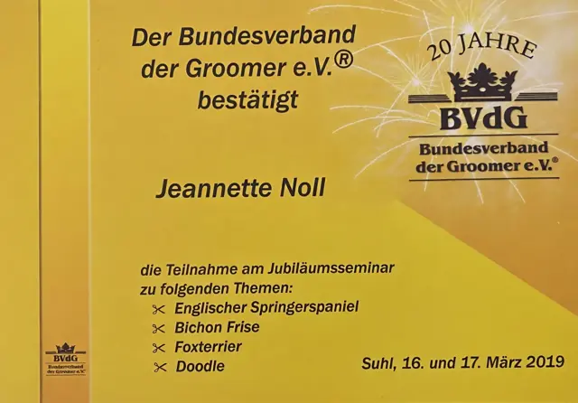 Zertifikat bzw. Urkunde von Jeannette Noll (23)