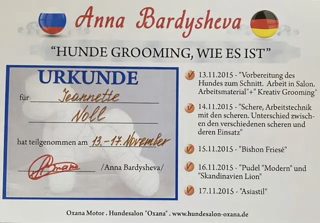 Zertifikat bzw. Urkunde von Jeannette Noll (36)