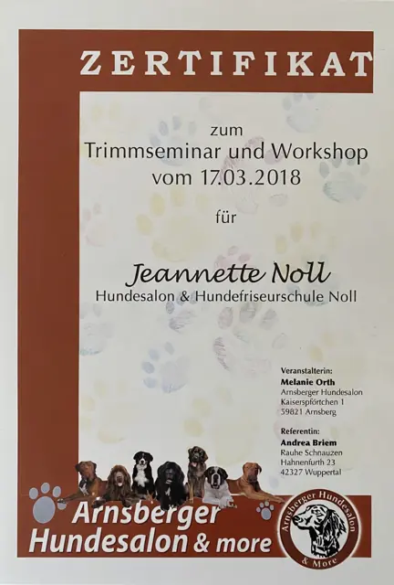 Zertifikat bzw. Urkunde von Jeannette Noll (42)