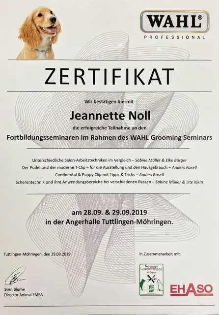 Zertifikat bzw. Urkunde von Jeannette Noll (30)