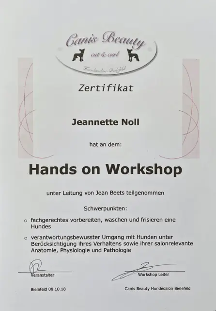 Zertifikat bzw. Urkunde von Jeannette Noll (32)