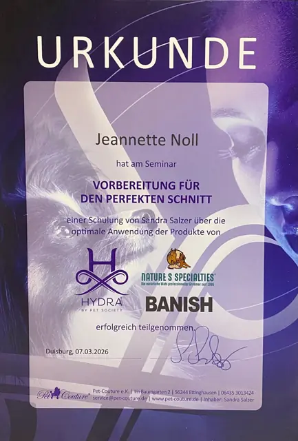Zertifikat bzw. Urkunde von Jeannette Noll (14)