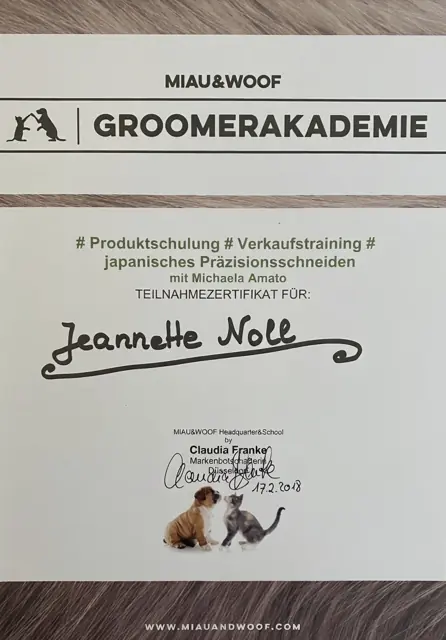 Zertifikat bzw. Urkunde von Jeannette Noll (35)