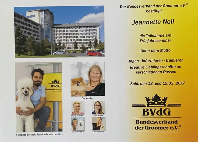Zertifikat bzw. Urkunde von Jeannette Noll (41)
