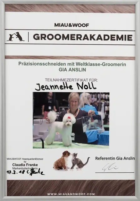 Zertifikat bzw. Urkunde von Jeannette Noll (9)
