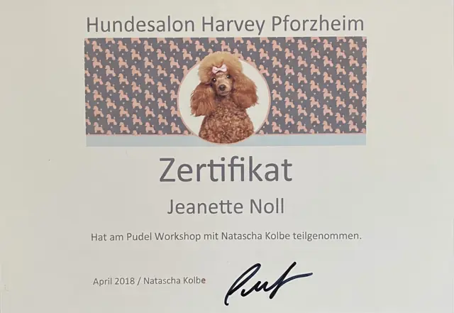 Zertifikat bzw. Urkunde von Jeannette Noll (21)