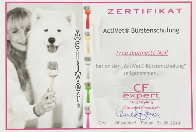 Zertifikat bzw. Urkunde von Jeannette Noll (33)