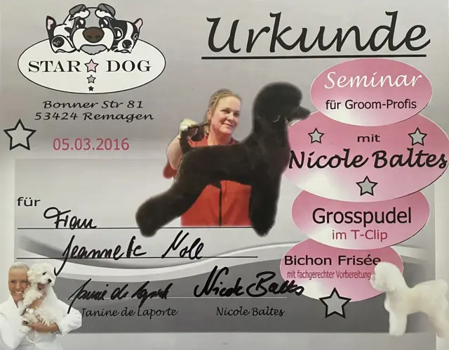 Zertifikat bzw. Urkunde von Jeannette Noll (25)