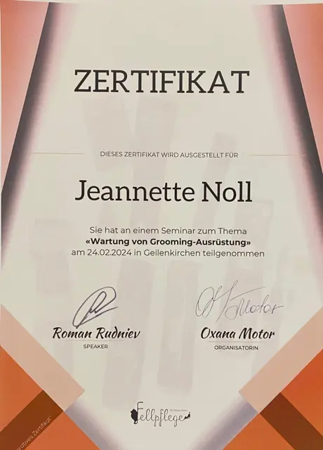 Zertifikat bzw. Urkunde von Jeannette Noll (2)
