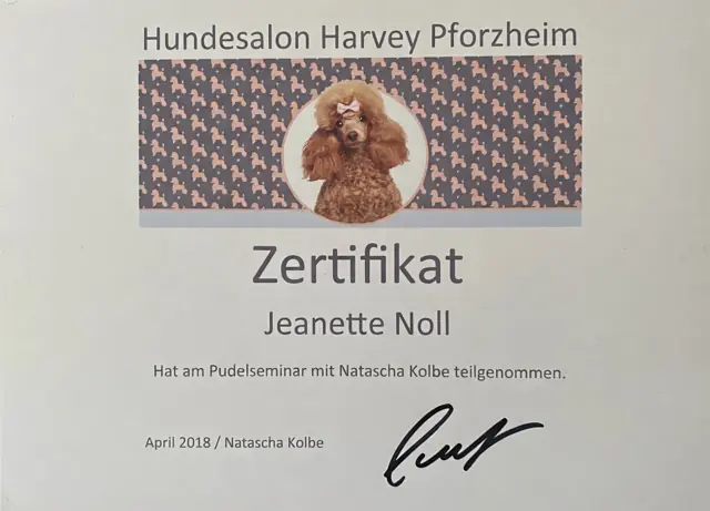 Zertifikat bzw. Urkunde von Jeannette Noll (39)