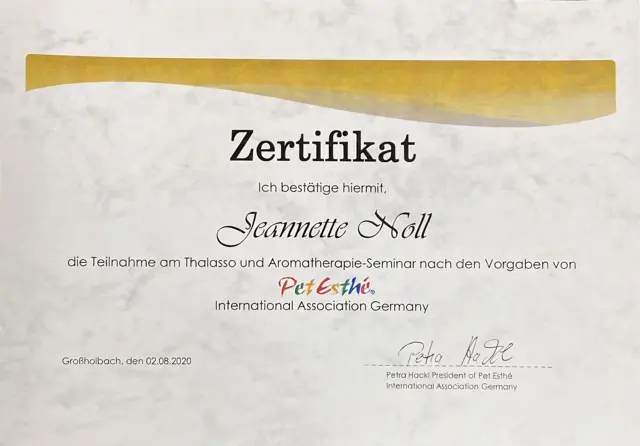 Zertifikat bzw. Urkunde von Jeannette Noll (27)
