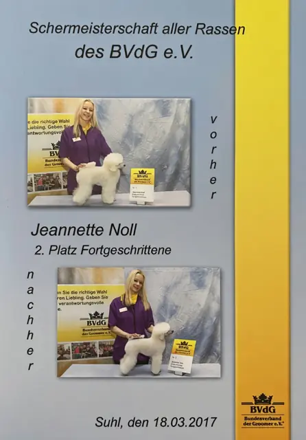 Zertifikat bzw. Urkunde von Jeannette Noll (28)